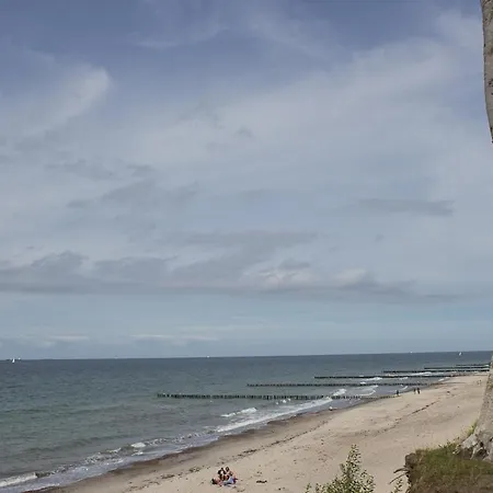 Paula * 오스치바드 닌하겐